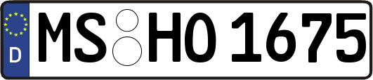 MS-HO1675