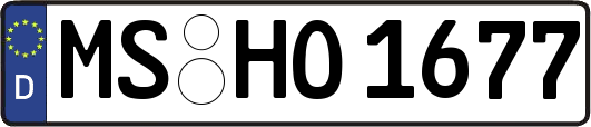 MS-HO1677