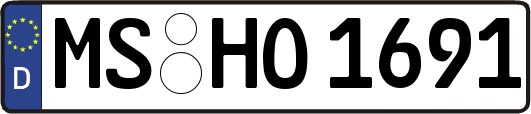 MS-HO1691