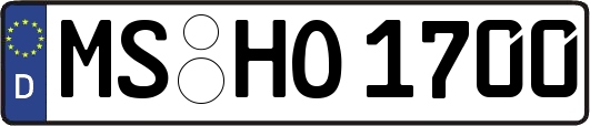 MS-HO1700