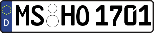 MS-HO1701