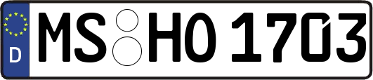 MS-HO1703