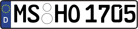 MS-HO1705