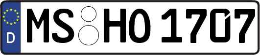 MS-HO1707