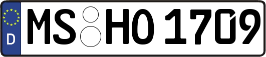 MS-HO1709