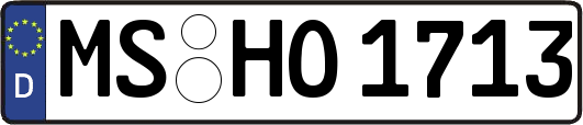 MS-HO1713