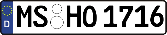 MS-HO1716