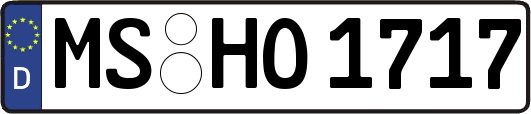 MS-HO1717