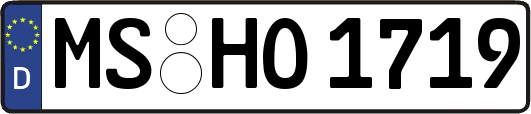 MS-HO1719