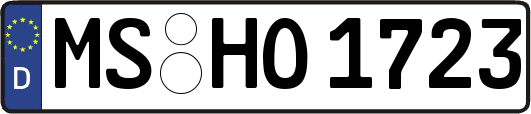 MS-HO1723