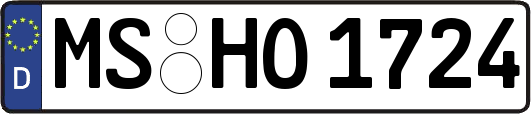 MS-HO1724