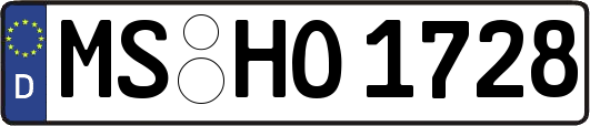 MS-HO1728