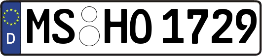 MS-HO1729