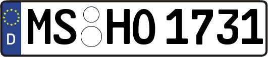 MS-HO1731