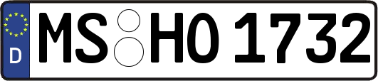 MS-HO1732