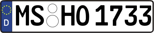 MS-HO1733