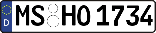 MS-HO1734