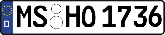 MS-HO1736
