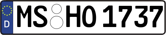 MS-HO1737