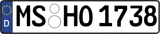 MS-HO1738