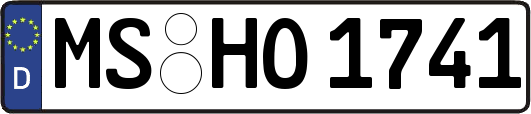 MS-HO1741