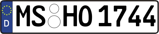 MS-HO1744