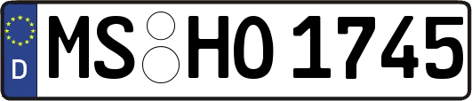 MS-HO1745