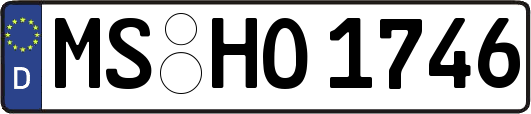 MS-HO1746