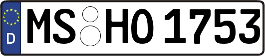 MS-HO1753