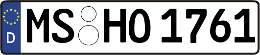 MS-HO1761