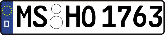 MS-HO1763