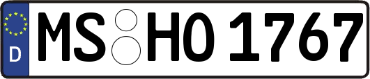 MS-HO1767