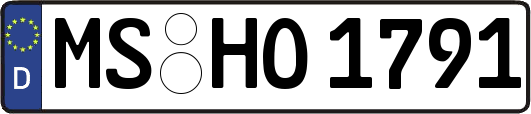 MS-HO1791