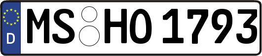 MS-HO1793