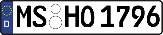 MS-HO1796