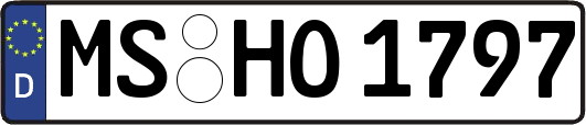 MS-HO1797