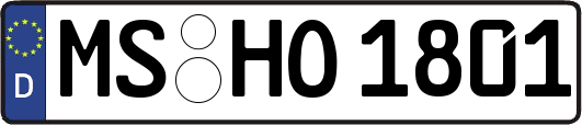 MS-HO1801
