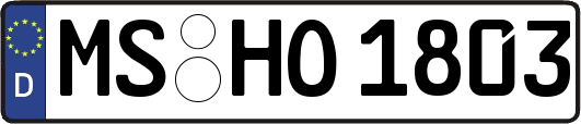 MS-HO1803