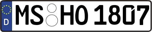 MS-HO1807