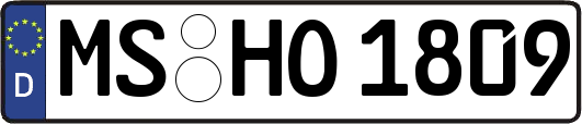 MS-HO1809