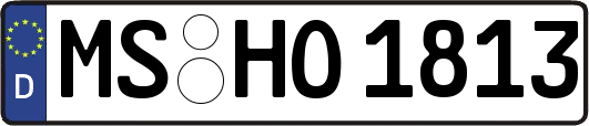 MS-HO1813