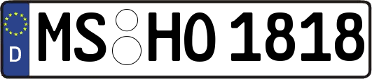 MS-HO1818