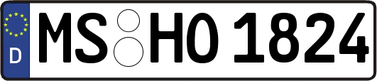 MS-HO1824
