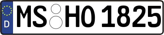 MS-HO1825