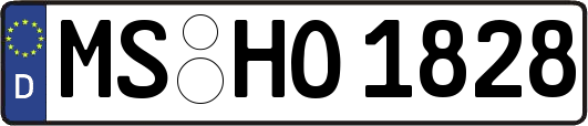 MS-HO1828