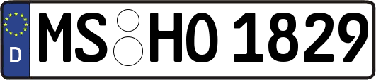 MS-HO1829