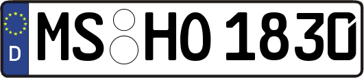MS-HO1830