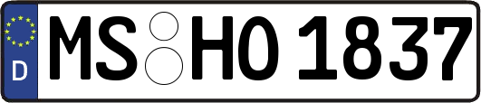 MS-HO1837