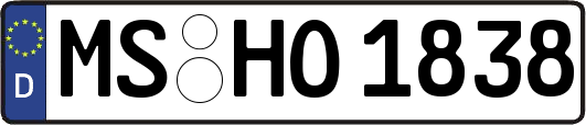 MS-HO1838