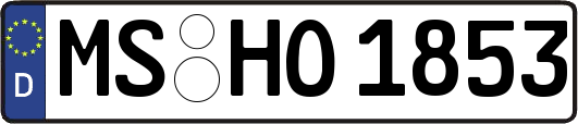 MS-HO1853
